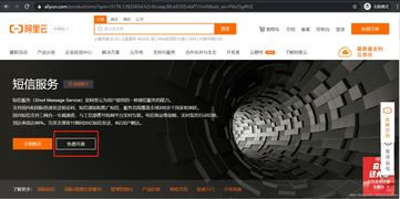 集成阿里短信服務 信息系統集成服務的關鍵環節